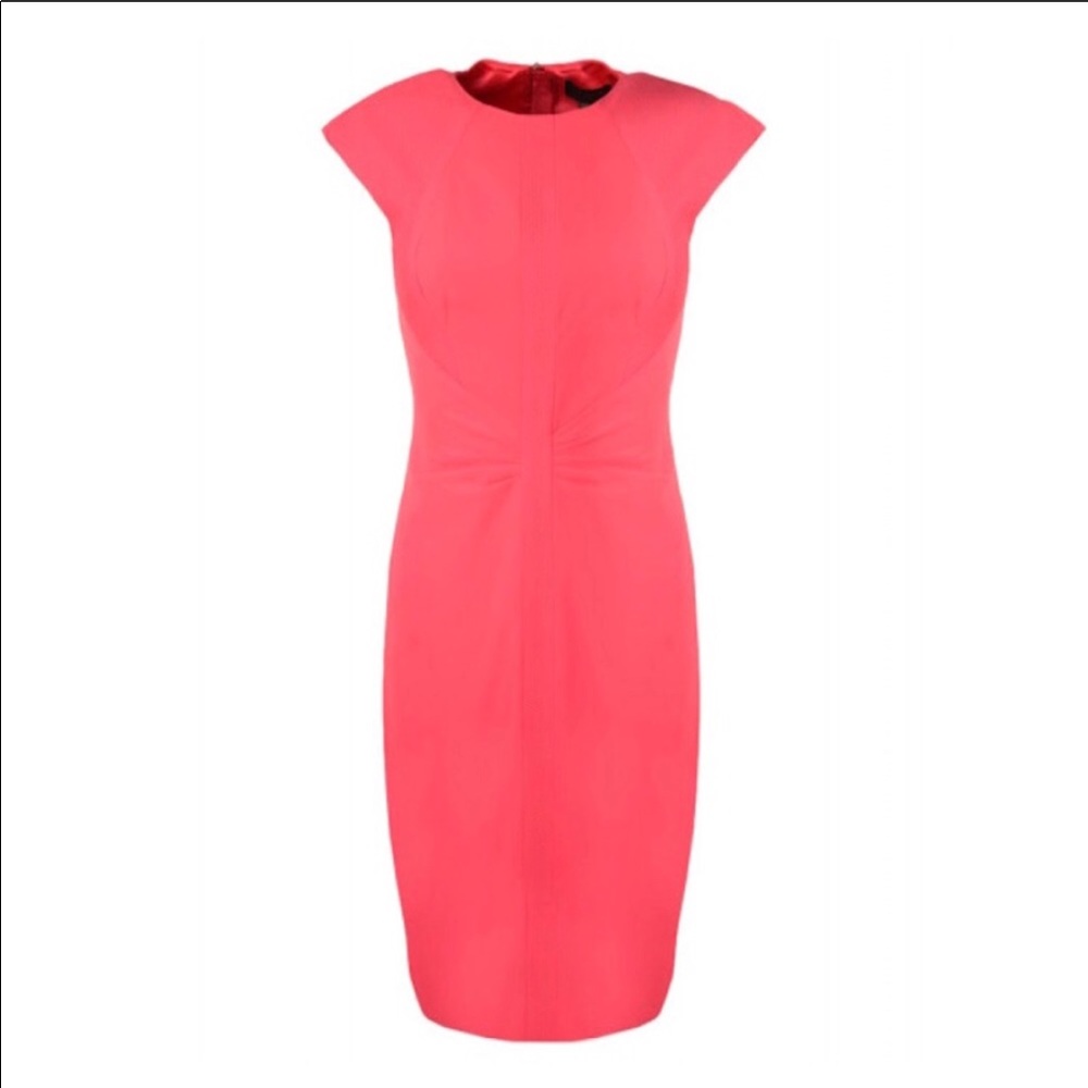 NWT Ted Baker Acerola Panel Pencil Skirt Dress